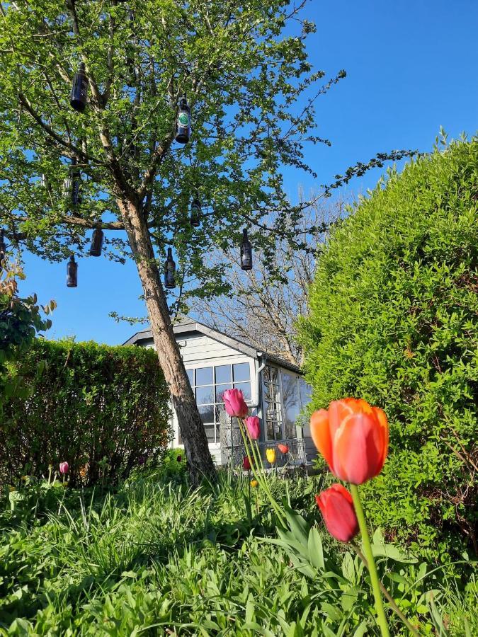 La Vieille Forge B&B 胡法利兹 外观 照片